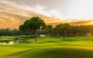 A scenic golf course at sunset with green fairways, tall trees, a pond, golf carts, and a water sprinkler in the distance under a partly cloudy sky.