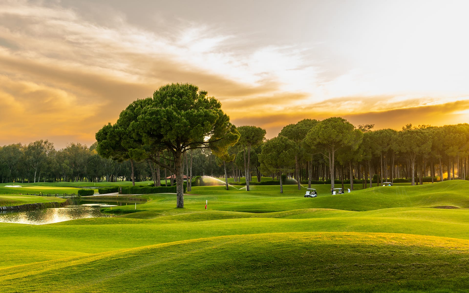 A scenic golf course at sunset with green fairways, tall trees, a pond, golf carts, and a water sprinkler in the distance under a partly cloudy sky.