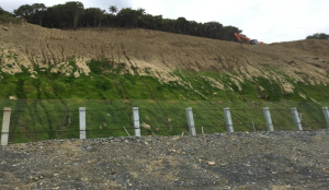 A steep hill with exposed soil and sparse green grass, a fence at the bottom, and an orange excavator working at the top near a line of trees. Sky is overcast.