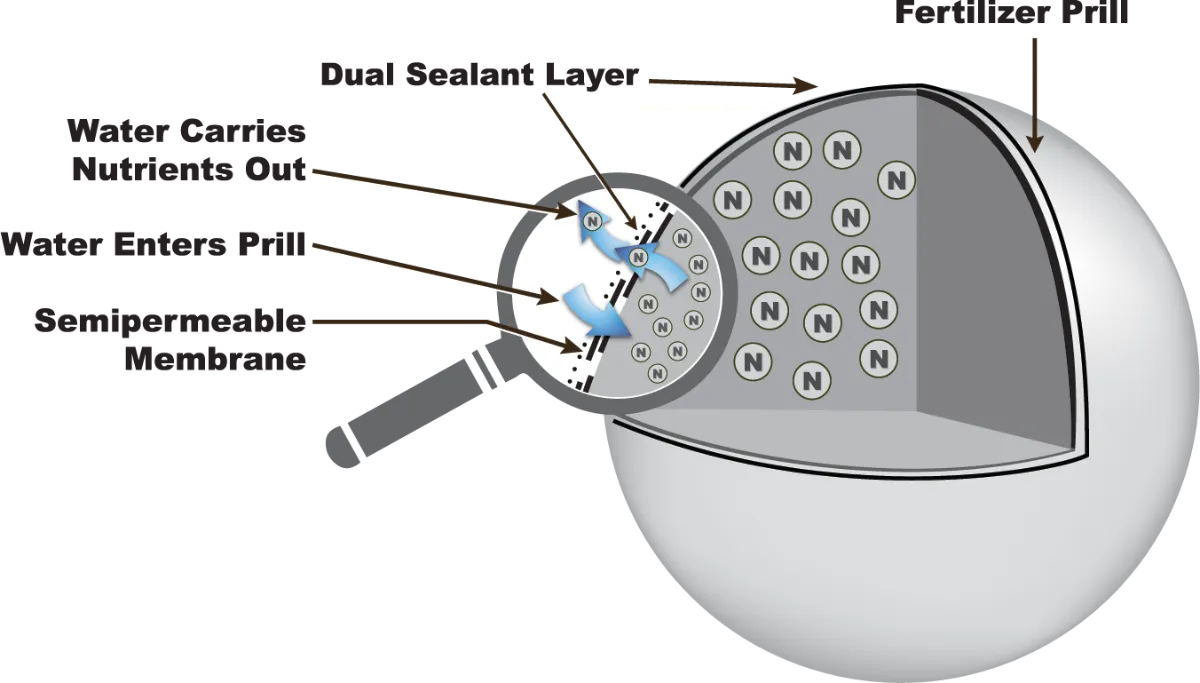 Diagram of a fertilizer prill cross-section showing labeled arrows for water entering and carrying nutrients out, with a semipermeable membrane and dual sealant layer.