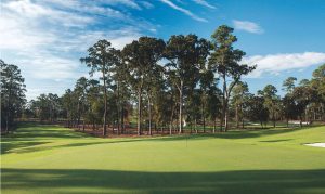 A golf course with a putting green in the foreground, surrounded by tall pine trees under a blue sky with scattered clouds.