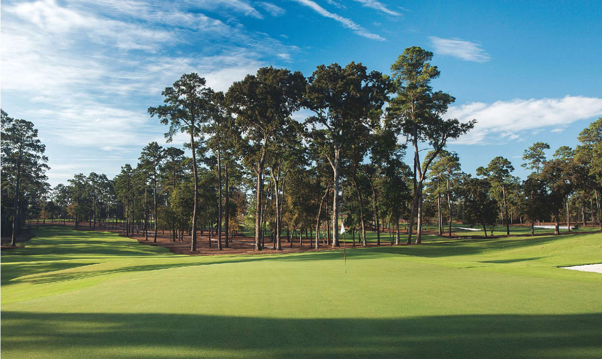 A golf course with a putting green in the foreground, surrounded by tall pine trees under a blue sky with scattered clouds.