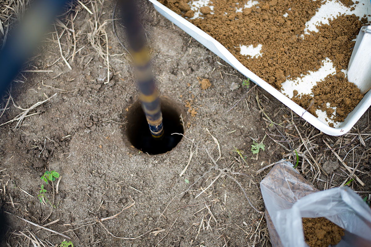 A metal pole is inserted into a round hole in the soil. Nearby, there is a tray filled with dirt and a plastic bag on the ground with dry grass and small green plants scattered around.