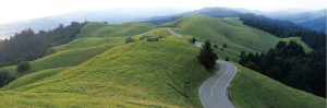 A winding road curves through green rolling hills, with scattered trees and forested areas under a misty sky and distant mountains.