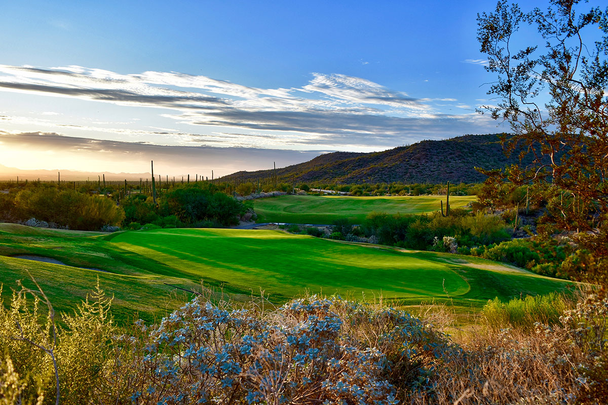 A green golf course surrounded by desert vegetation, cacti, and hills under a partly cloudy sky at sunset.