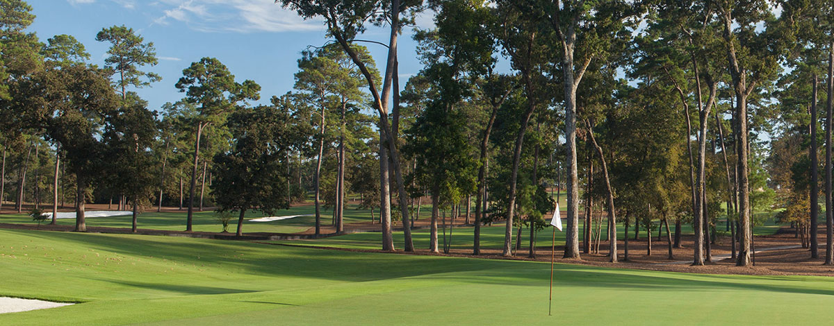 A golf course with manicured green grass, sand bunkers, and tall trees under a blue sky. A white flag marks the hole on the green in the foreground.