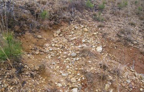 Dry, rocky soil with sparse vegetation and small green plants growing among scattered stones and brown earth, indicating a degraded or eroded landscape.