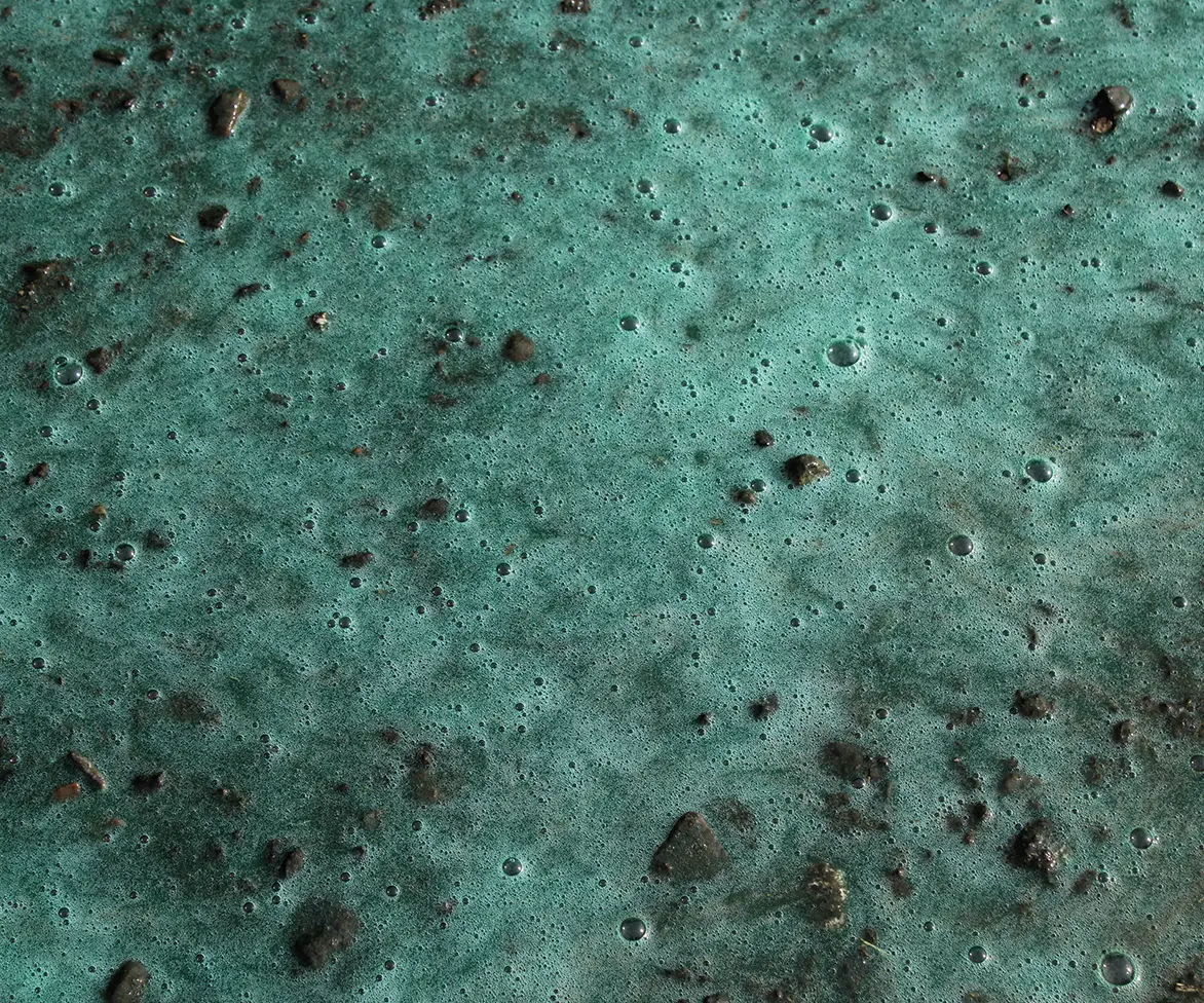 Close-up of green foamy liquid with small bubbles and scattered dirt and gravel particles on the surface.