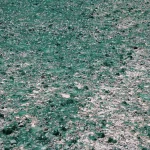 Ground covered with patches and droplets of thick green gel-like liquid mixed with gravel and dirt.