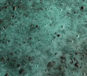 Close-up view of green foamy liquid with bubbles and embedded dirt and small stones.