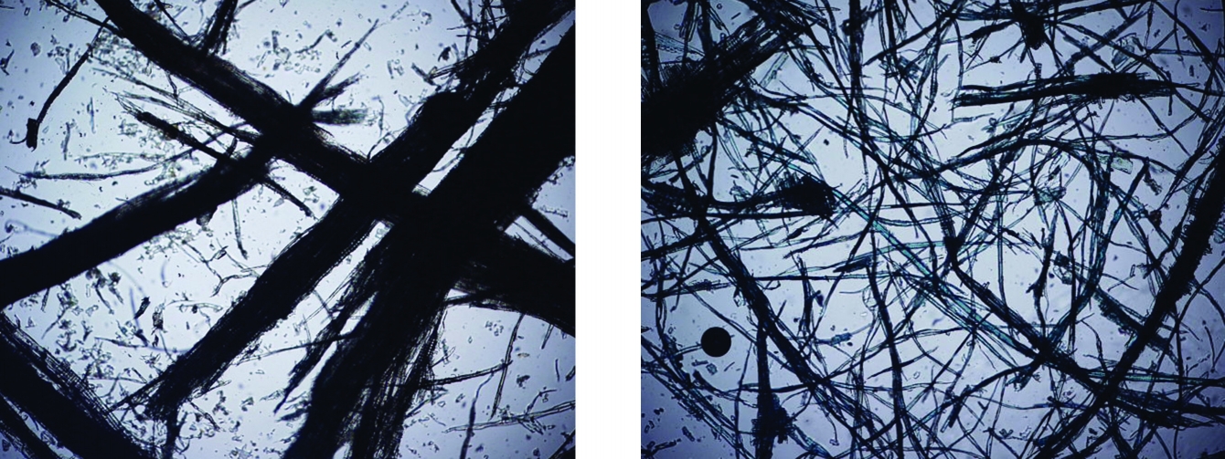 Two microscope images side by side showing dark, jagged, crisscrossing fibers and shards on a light background. The left side has fewer, thicker fibers; the right side has more, thinner fibers scattered densely.