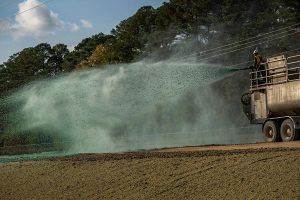 A worker standing on a large truck sprays green hydroseeding material over bare soil next to a road, surrounded by trees and power lines under a blue sky.