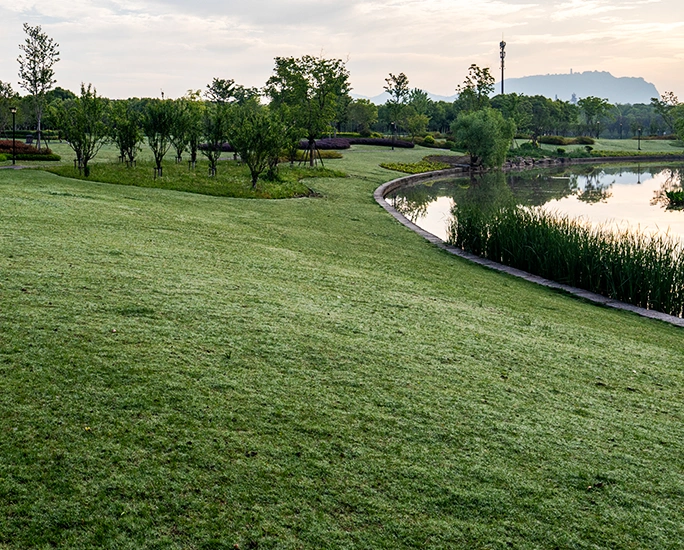Lawn with pond.