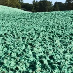 Landscape with Flexterra.