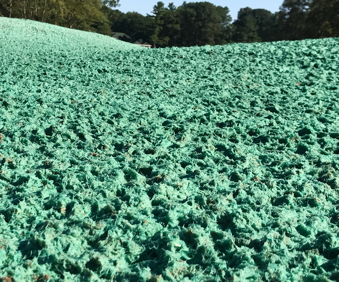 Landscape with Flexterra.