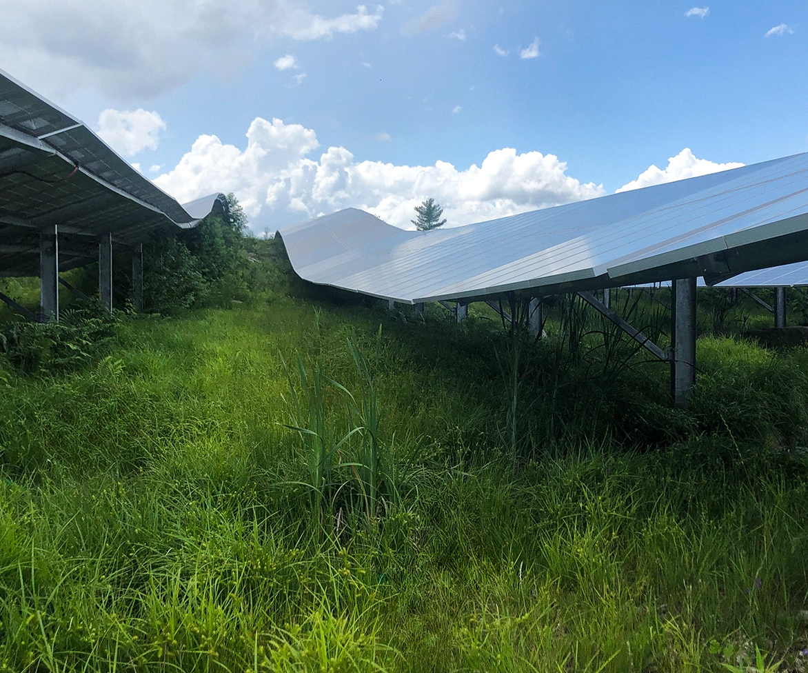 Solar field.
