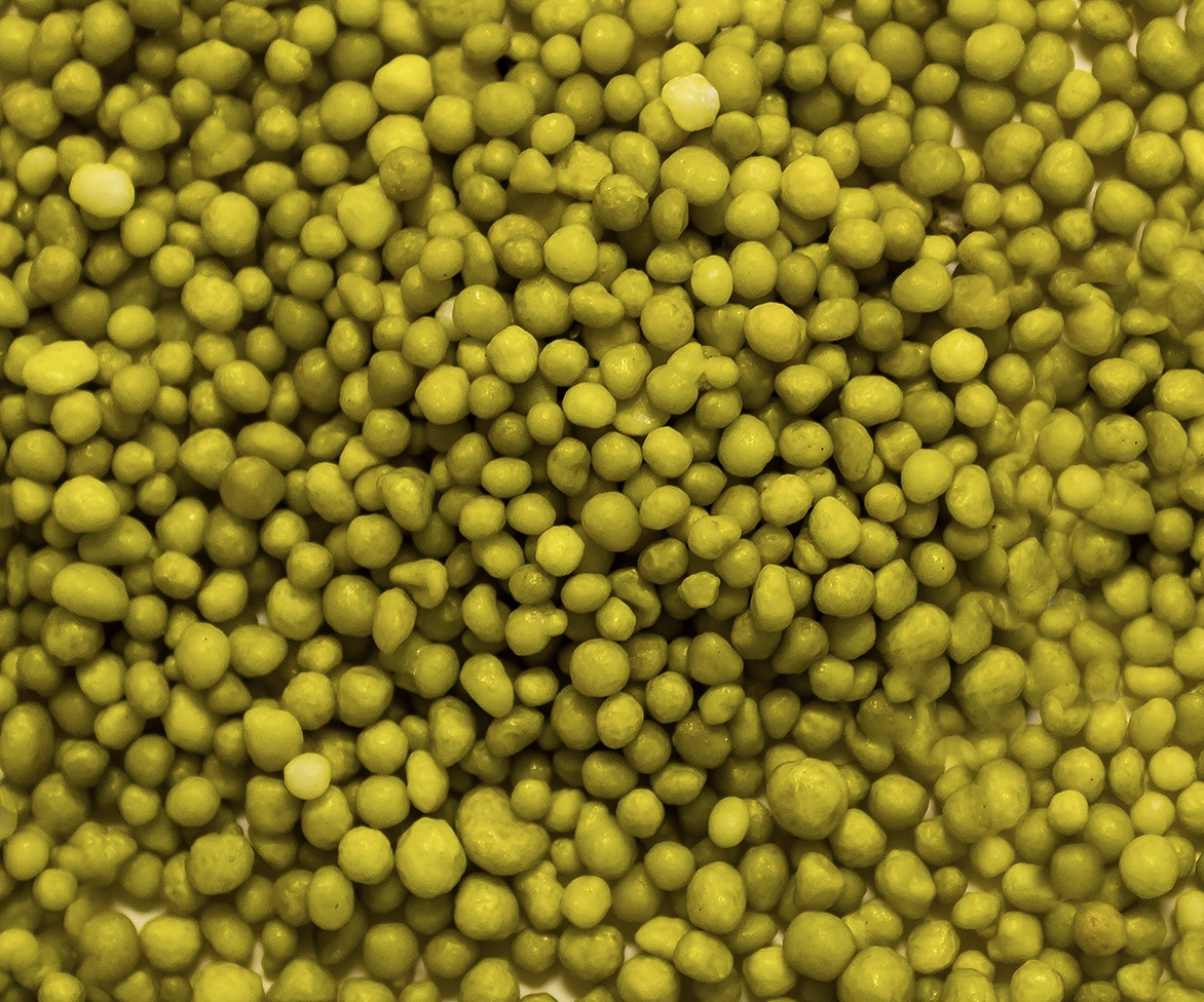 Close-up of a large pile of yellow peas, filling the entire frame. The peas vary slightly in size and shape, creating a textured and densely packed appearance.