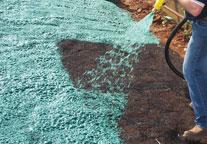 A person uses a hose to spray green hydroseed mixture onto bare soil, preparing the ground for new grass growth.