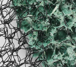 Green Armor product.