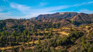 A scenic view of the hills with the famous Hollywood sign in the distance, surrounded by dry brush, winding trails, and scattered green trees under a bright blue sky.