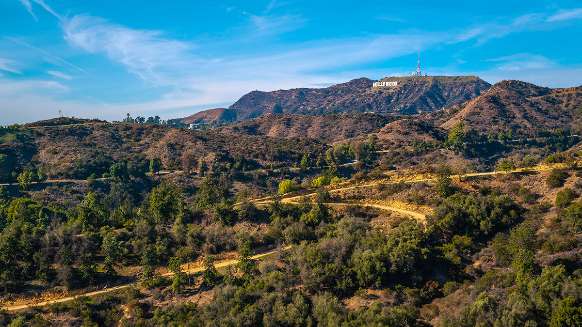 A scenic view of the hills with the famous Hollywood sign in the distance, surrounded by dry brush, winding trails, and scattered green trees under a bright blue sky.