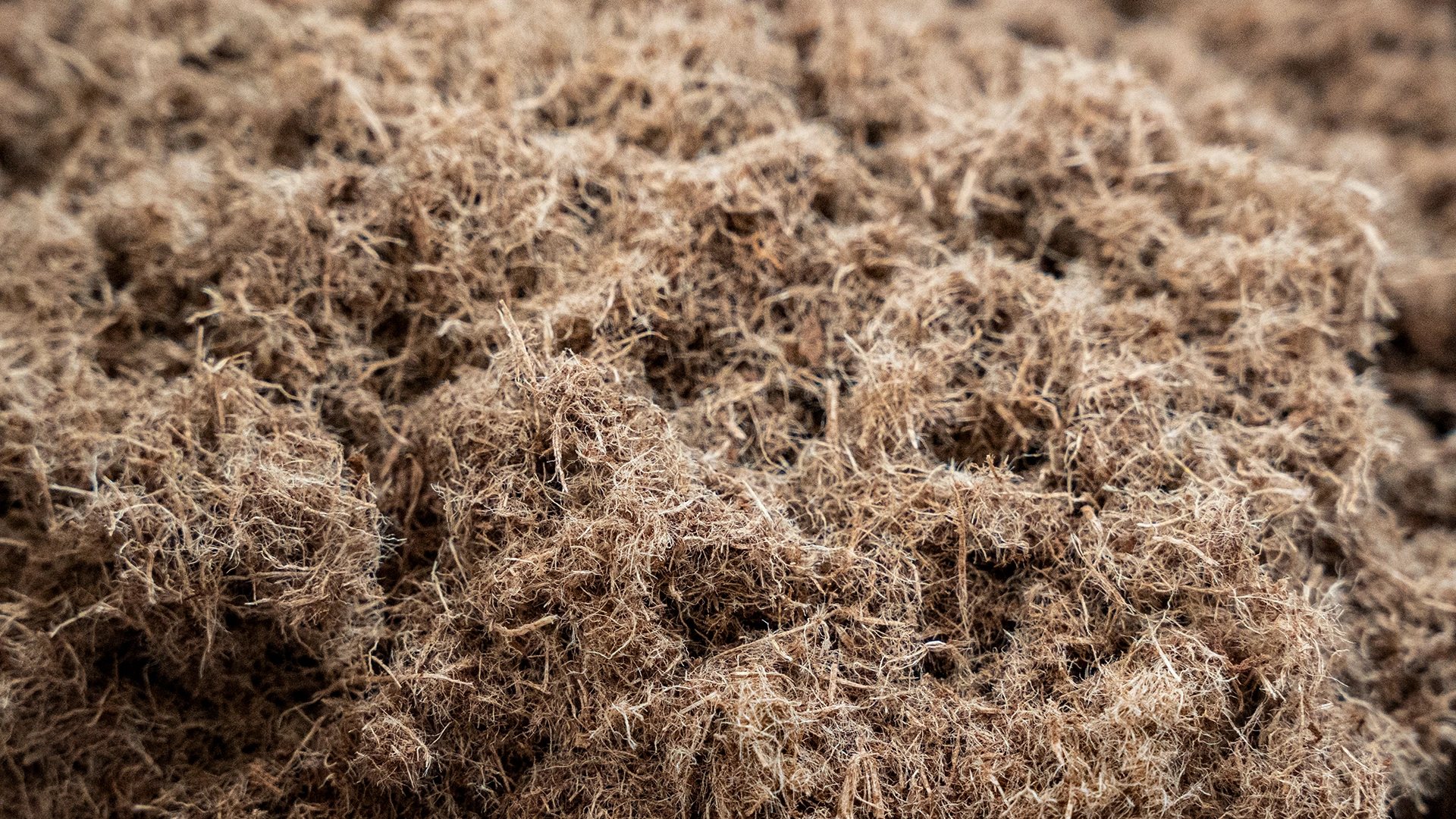 A close-up view of a pile of natural, brown, fibrous material, possibly coconut coir or peat moss, showing its rough texture and tangled fibers.