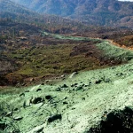 A hillside covered in green hydroseed overlooks a winding dirt road and a partially forested valley with some burnt, barren areas, set against a backdrop of mountains.