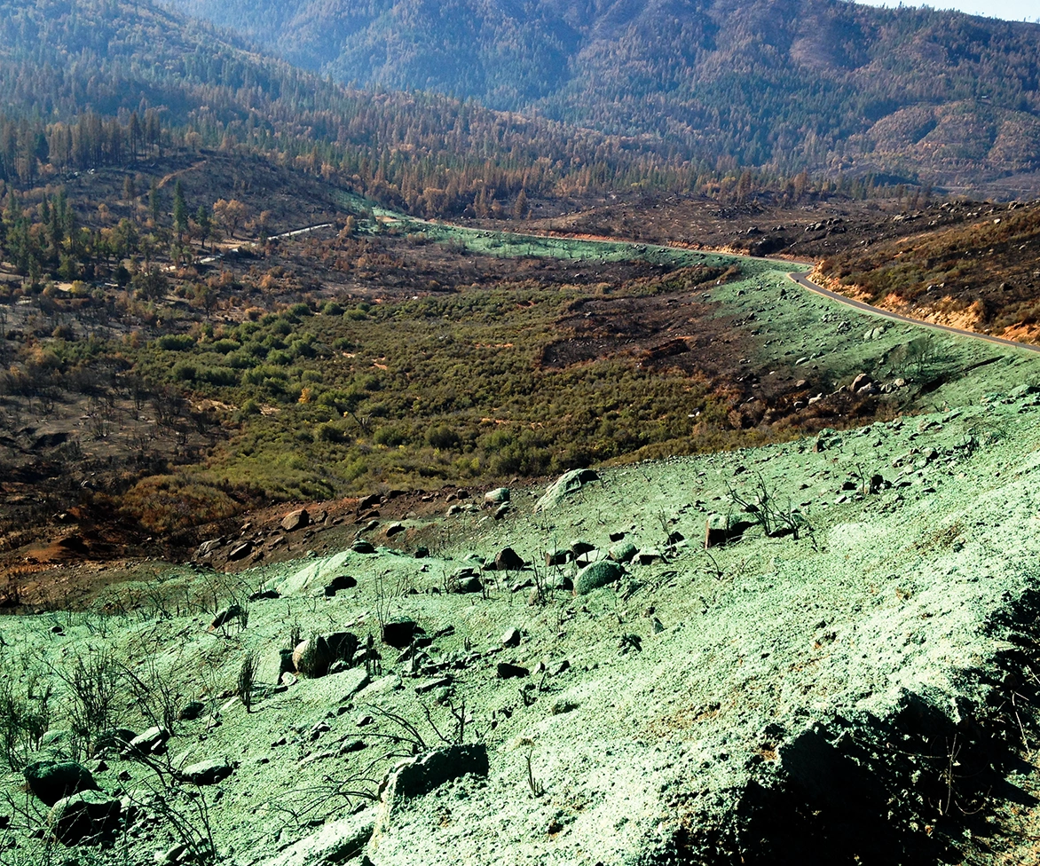 A hillside covered in green hydroseed overlooks a winding dirt road and a partially forested valley with some burnt, barren areas, set against a backdrop of mountains.
