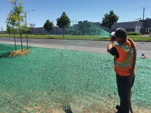 A worker in a safety vest sprays green hydroseed onto a roadside area to promote grass growth. Young trees are planted nearby and industrial buildings are in the background.