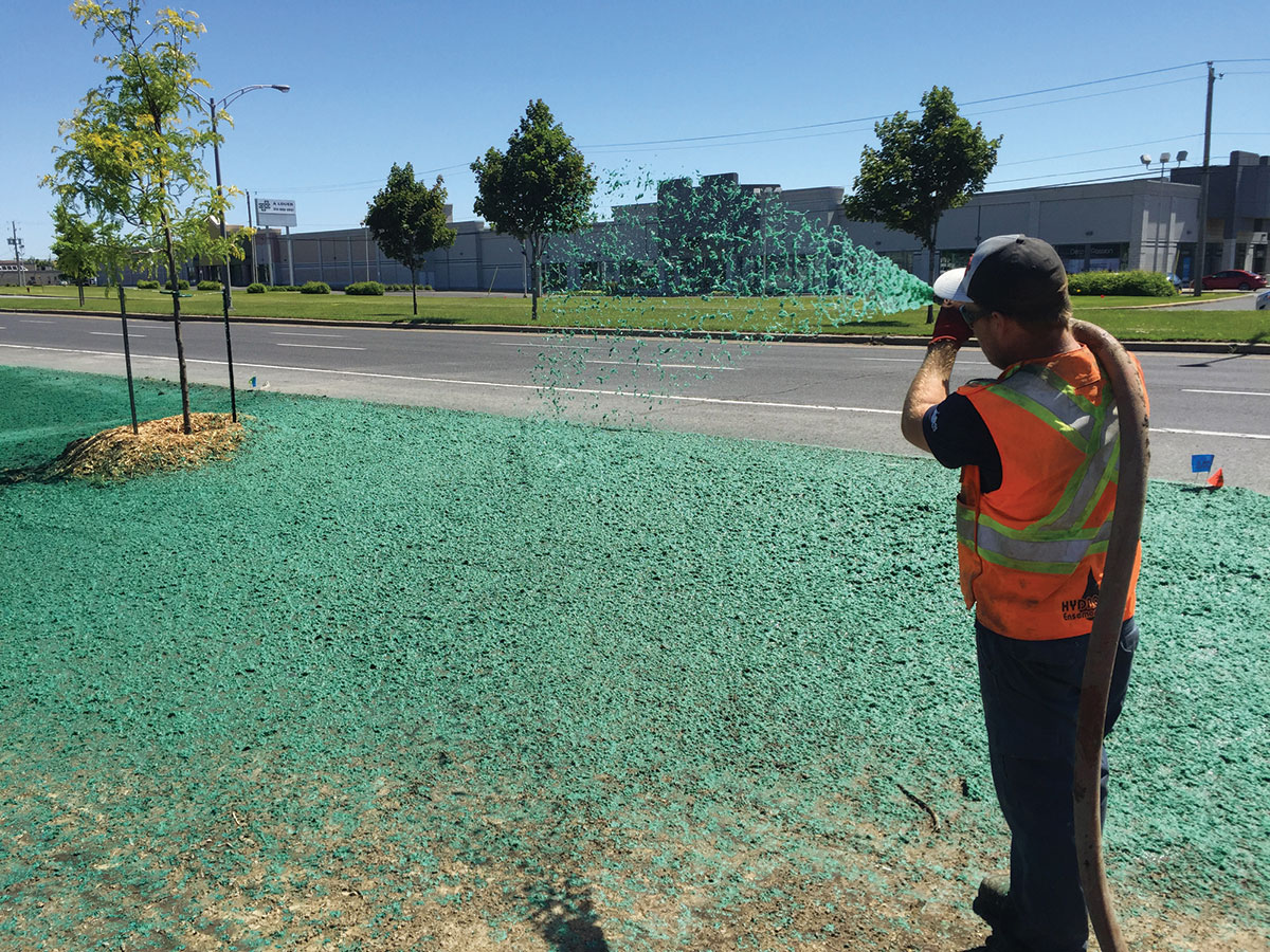 A worker in a safety vest sprays green hydroseed onto a roadside area to promote grass growth. Young trees are planted nearby and industrial buildings are in the background.
