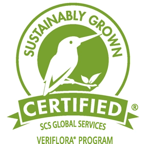 Verifora logo.