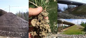 A collage showing soil spraying on a slope, a hand holding soil with plant roots, and two images of a bridge slope before and after grass growth.