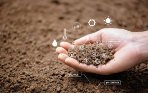 A hand holds soil with digital icons overlayed, showing chemical elements and indicators like pH, temperature, and water, representing soil analysis and environmental monitoring.