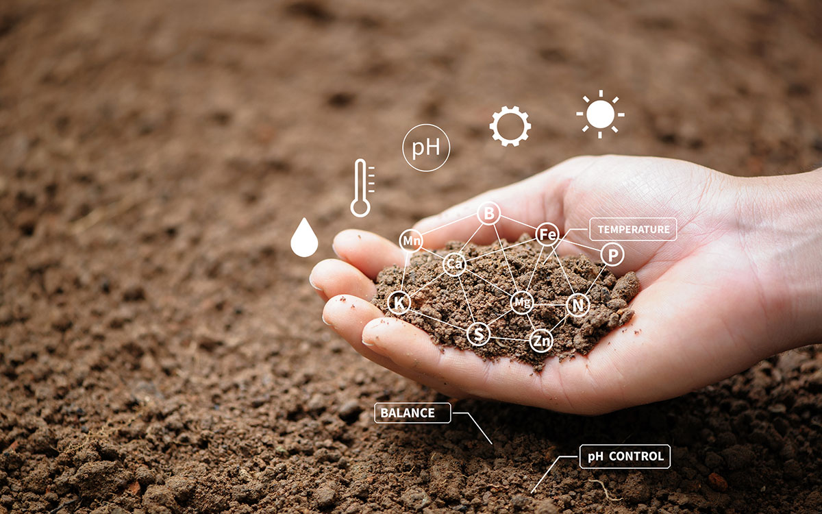 A hand holds soil with digital icons overlayed, showing chemical elements and indicators like pH, temperature, and water, representing soil analysis and environmental monitoring.