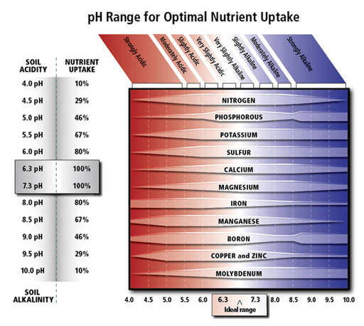 Chart showing nutrient uptake percentages at various soil pH levels. Nutrient absorption is highest (100%) at pH 6.3-7.3. The chart lists nutrients and shows their optimal absorption ranges within different soil pH values.