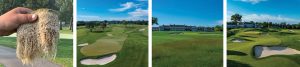 A hand holds a patch of turf; three views show a golf course with sand bunkers, lush fairways, and a large clubhouse under a bright blue sky.