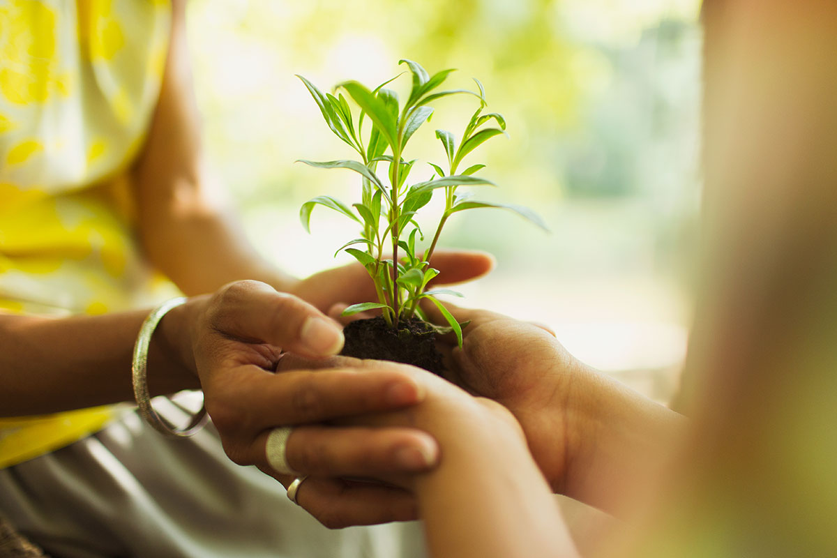 Two people hold a small green plant together, symbolizing care and growth, with blurred greenery in the background.