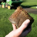 Closeup of turf plug with Profile Porous Ceramic Granules
