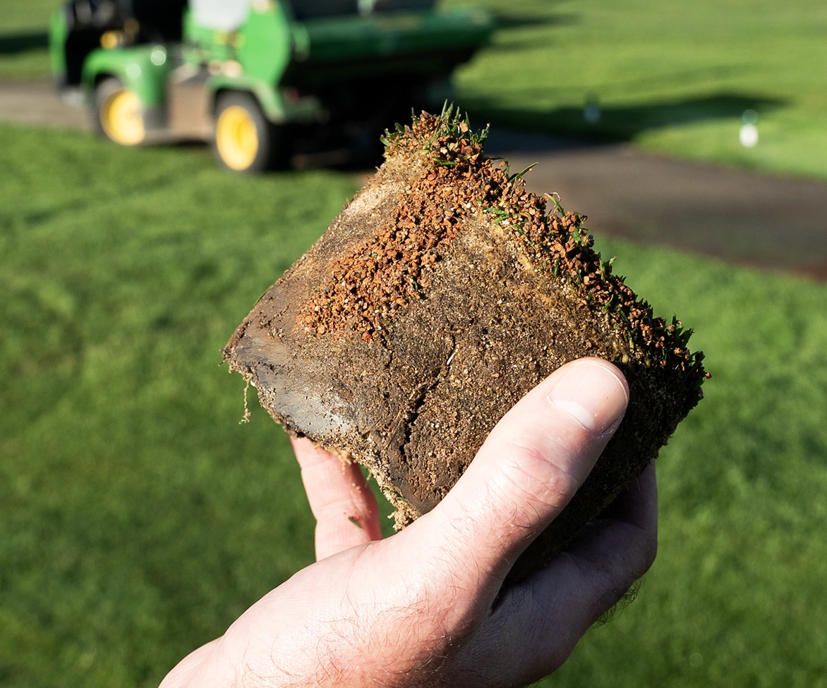 Closeup of turf plug with Profile Porous Ceramic Granules