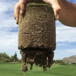 Closeup of turf plug with Profile Porous Ceramic