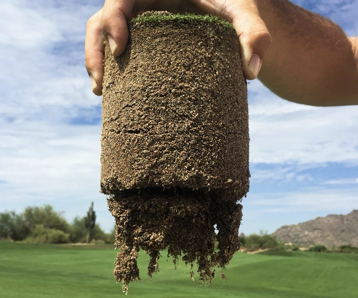Closeup of turf plug with Profile Porous Ceramic