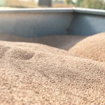Close-up of small porous ceramic granules piled in a container, showing a coarse, sandy texture.