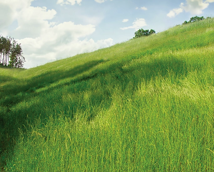 A green grassy hill slopes upward under a partly cloudy blue sky, with a few trees visible on the left edge and sunlight casting shadows across the grass.