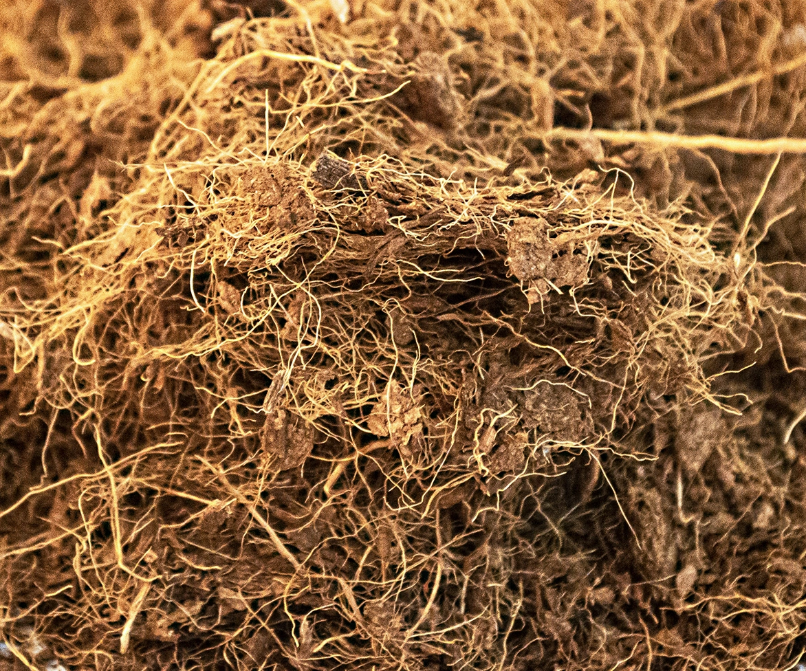 Profile coir product image