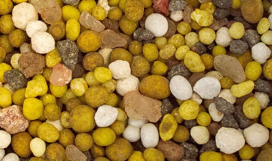 Close-up of multicolored round granules, mostly yellow, white, and brown, mixed with small irregularly shaped particles. The texture looks coarse and uneven.