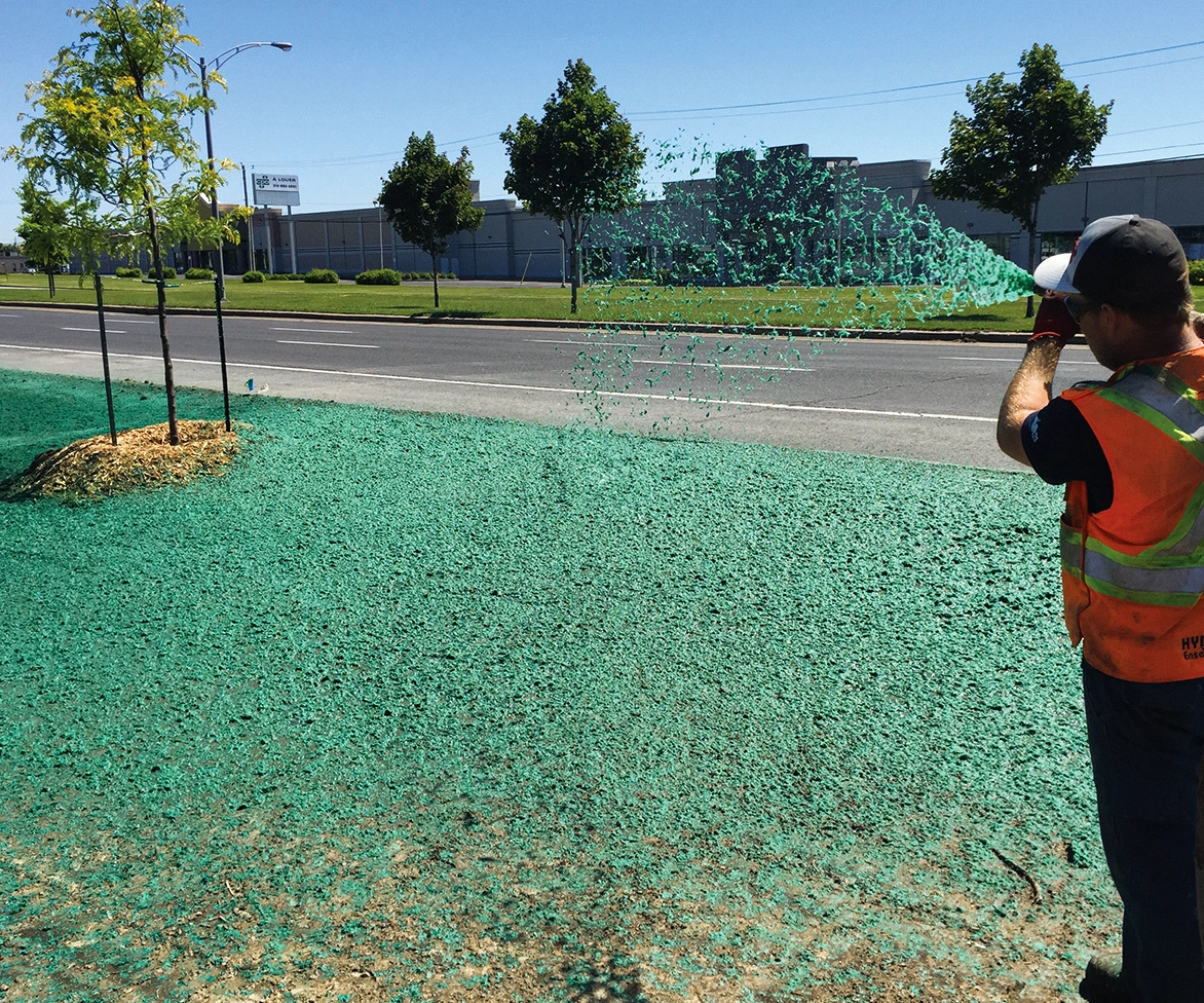 A worker in a safety vest sprays green hydroseed over bare ground beside a road with young trees, likely to promote grass growth.