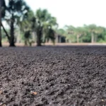 Close-up view of dark soil surface with small granules and organic material, with trees and landscape blurred in the background.