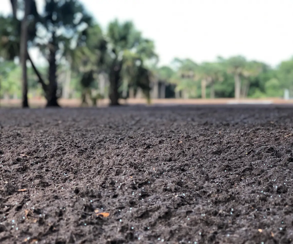 Close-up view of dark soil surface with small granules and organic material, with trees and landscape blurred in the background.