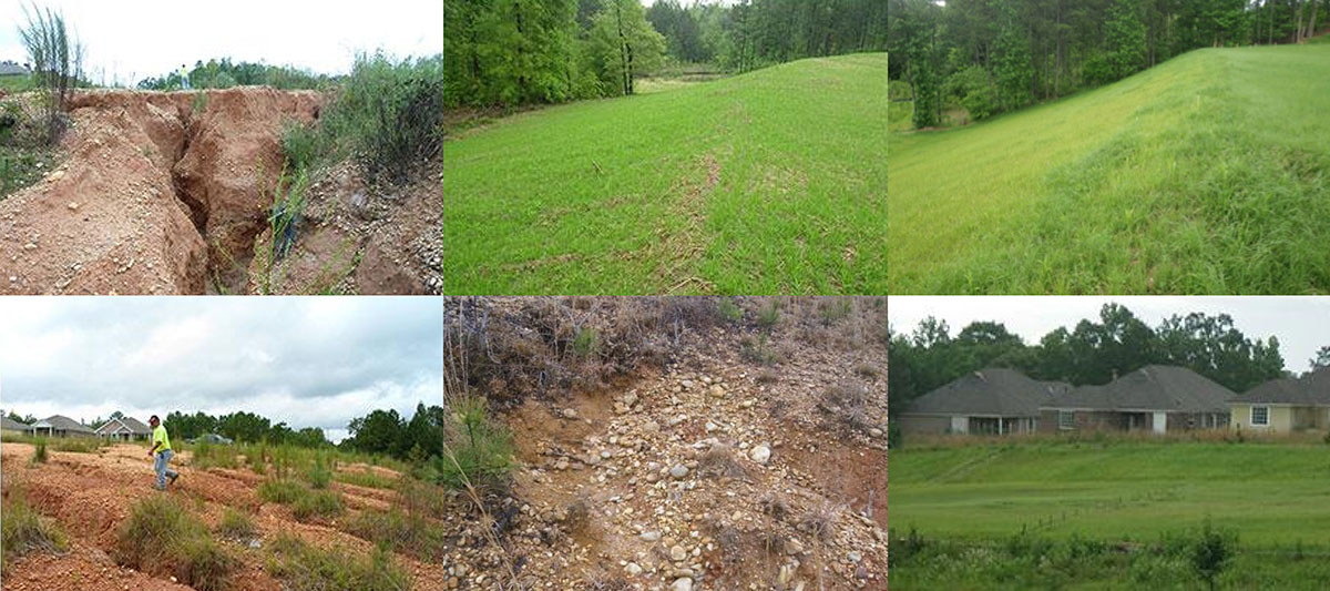 A collage shows six scenes: eroded and cracked soil, grassy slopes, rocky barren ground, and grassy lawns near houses, illustrating different stages of land erosion and restoration.