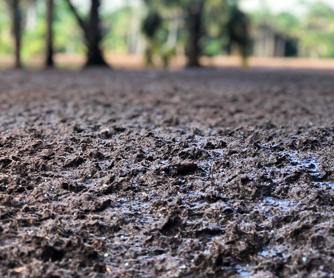 Rich soil.